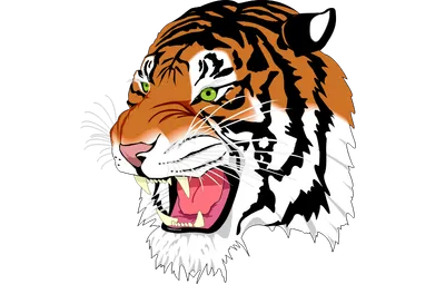 TransformContext - pan-zoom-svg-image